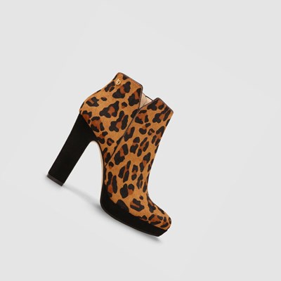Lodi Tilbur-ino Samburu Stiefelette Damen Braun | FKLCED-978